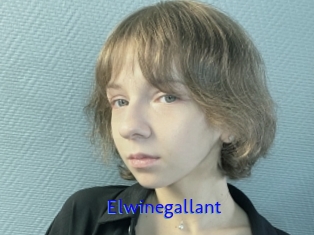 Elwinegallant