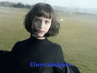 Elwynadodgson