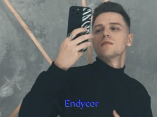 Endycor