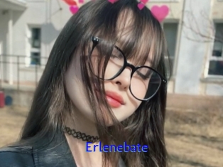 Erlenebate