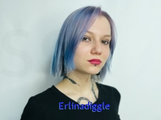Erlinadiggle
