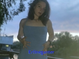 Erlineganter