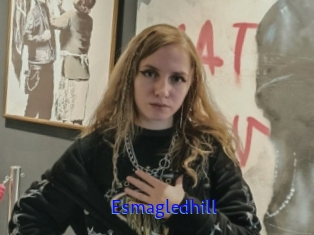 Esmagledhill