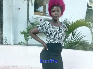 Eunifix