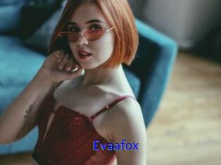 Evaafox