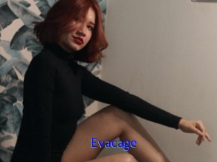 Evacage