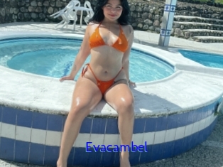 Evacambel