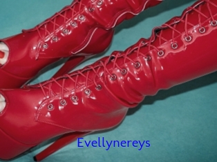 Evellynereys