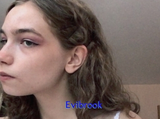 Evibrook