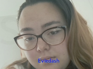 Eviedash
