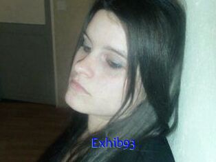Exhib93
