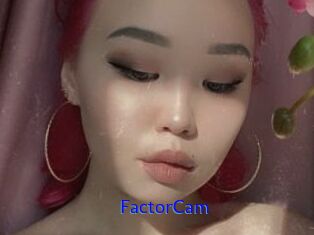 FactorCam