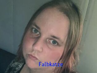 Falbkatze
