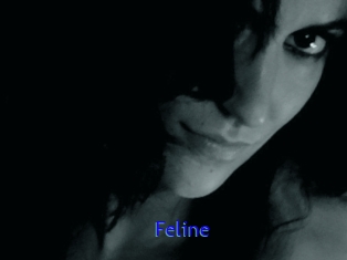 Feline
