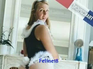 Feline18