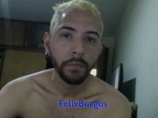 FelixBurgos