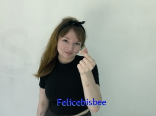 Felicebisbee