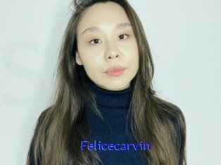 Felicecarvin