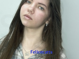 Felicecatts