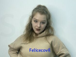 Felicecovil