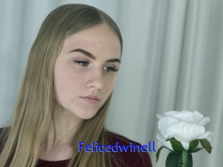 Felicedwinell
