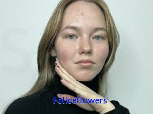 Feliceflowers