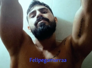 Felipegamarraa
