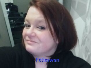 Felixswan