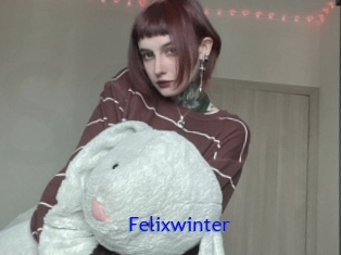 Felixwinter