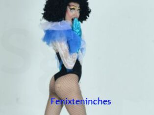 Fenixteninches