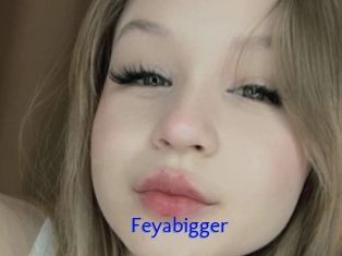 Feyabigger