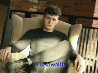 Flashwallis