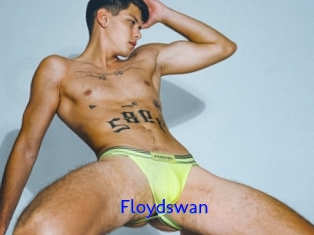 Floydswan