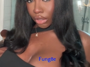 Fung8e