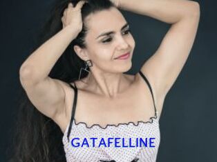 GATAFELLINE