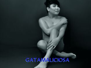 GATAMALICIOSA