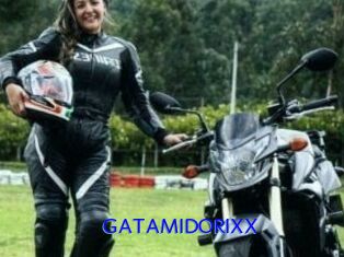 GATAMIDORIXX