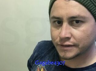 Gagabe4307