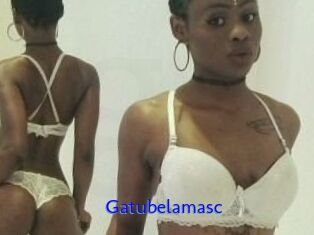 Gatubela_masc