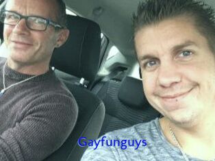 Gayfunguys