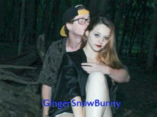 GingerSnowBunny