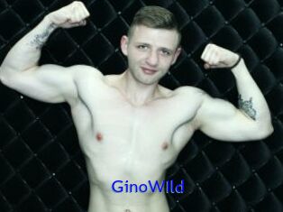 GinoWIld Sexo Gratis