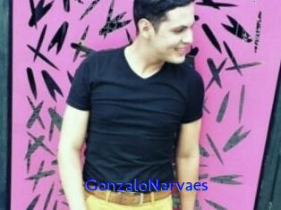 GonzaloNarvaes