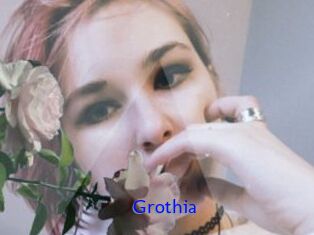 Grothia