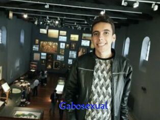 Gabosexual