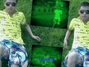Gaokui