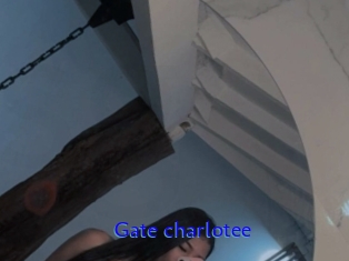 Gate_charlotee