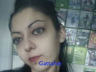 Gattahot