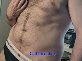 Gattorcatnb