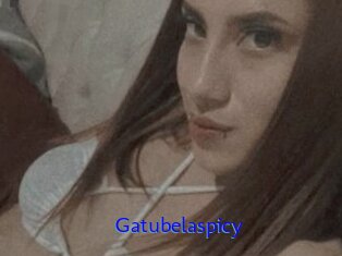 Gatubelaspicy